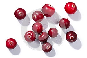 Cranberries v. oxycoccus, top view, paths
