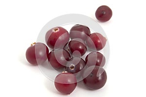 Cranberries on a white background