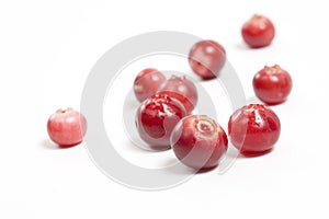 Cranberry