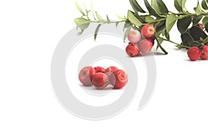 Cranberry