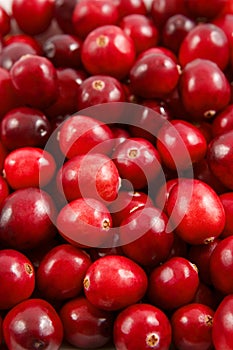 Cranberry