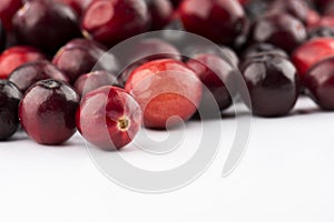 Cranberry