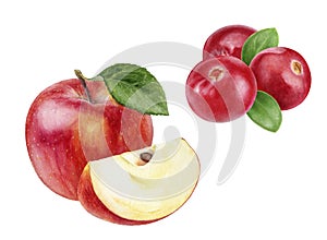 Cranberry apple watercolor illustration isolated on white background