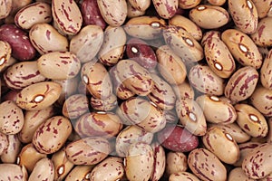 Cranberry beans