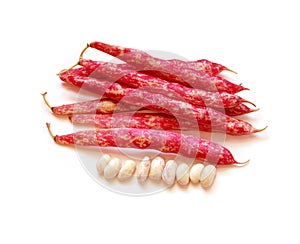 Cranberry Beans