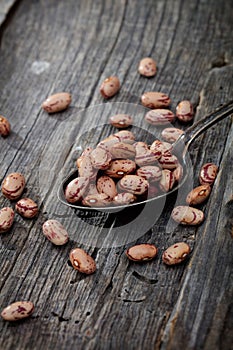Cranberry beans on spoon