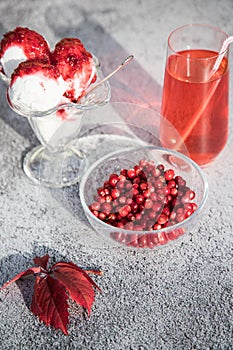 Cranberry berries, ice cream with jam and berry Morse on a light background with autumn leaves .