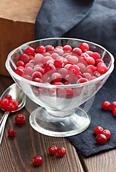 Cranberry berries on rustic background, traditional holiday ingredient for berry jam for christmas or thanksgiving