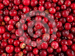 Cranberry berries are used for the preparation of fruit drinks, juices, kvass, extracts, jelly, these are good sources of vitamins