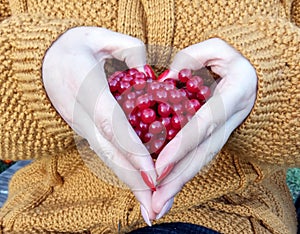 Cranberry berries in women`s hands in the shape of a heart, side view, close - up-the concept of the usefulness of using medicina photo