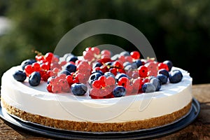 Cranberry and blueberry 4th July yogurt cheesecake