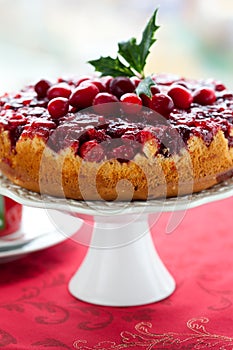 Cranberry Cake