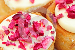 Cranberry cakes