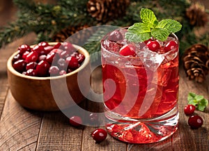Cranberry cocktail with fresh cranberries and mint