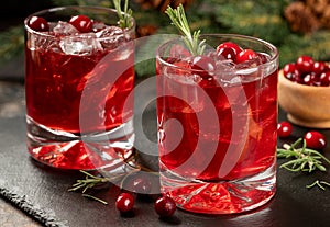 Cranberry cocktail with fresh cranberries and rosemary