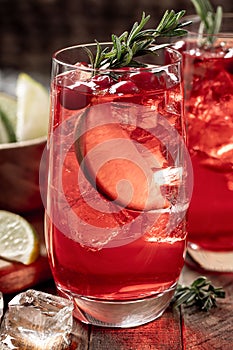 Cranberry cocktail with rosemary and lime slices