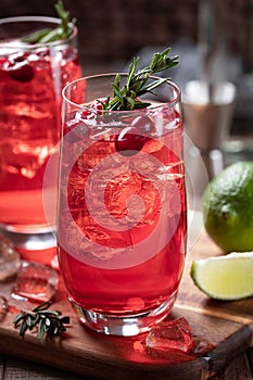 Cranberry cocktail with rosemary and lime slices