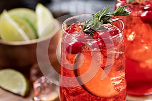 Cranberry cocktail with rosemary and lime slices