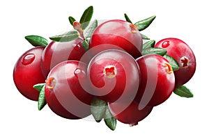 Cranberry composition, clipping paths