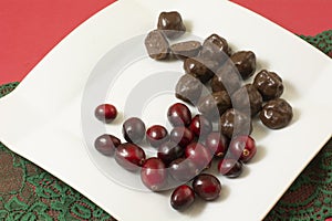 Cranberry Crispy Dark Chocolate Truffle Snack