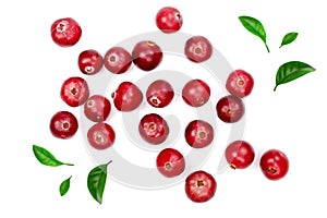 Cranberry decorated with green leaves isolated on white background closeup top view