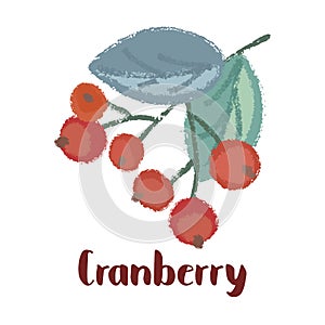 Cranberry forest berry