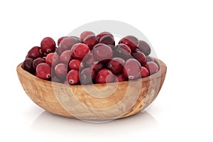 Cranberry Fruit