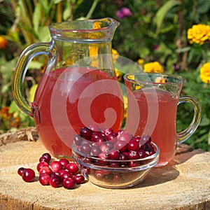 Cranberry fruit drink in a glass jug and fresh cranberry berries on a stump close up