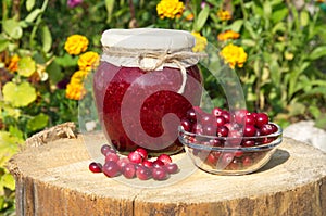 Cranberry jam and fresh cranberry berries in a Cup on a stump in the garden