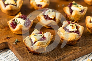Cranberry Goat Cheese Puff Pastry Appetizer Bites