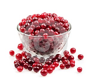 Cranberry isolated