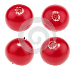 Cranberry isolated. set