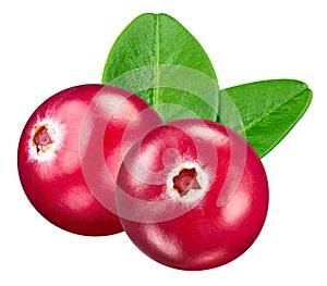 Cranberry isolated on white background