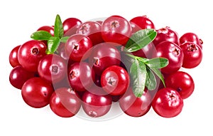 Cranberry isolated on white. With clipping path