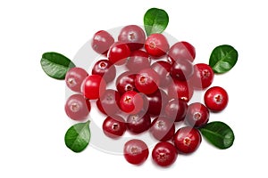 Cranberry isolated on white. With clipping path. Full depth of field. top view