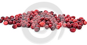 Cranberry Jewels