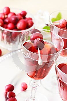 Cranberry juice with fresh cranberries