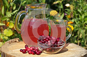 Cranberry juice in a glass jar and fresh cranberry berries on a stump in the garden