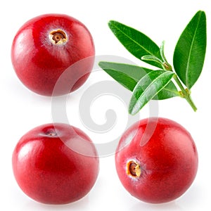 Cranberry with leaf. Collection on white background