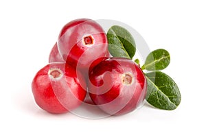 Cranberry with leaf isolated on white background closeup macro