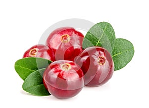 Cranberry with leaf isolated on white background closeup macro