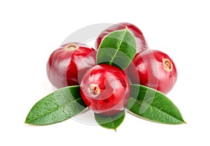 Cranberry with leaf isolated on white background closeup macro