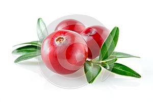 Cranberry with leaf on white background