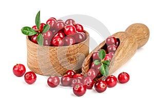 Cranberry with leaf in wooden bowl and scoop isolated on white background closeup