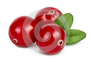 Cranberry with leaves isolated on white background with clipping path and full depth of field