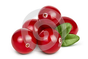 Cranberry with leaves isolated on white background with clipping path and full depth of field