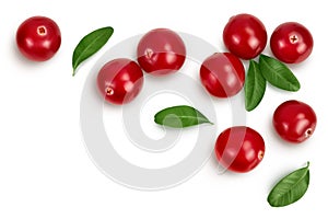Cranberry with leaves isolated on white background with clipping path and full depth of field. Top view with copy space