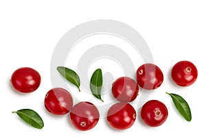 Cranberry with leaves isolated on white background with clipping path and full depth of field. Top view with copy space