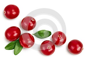 Cranberry with leaves isolated on white background with clipping path and full depth of field. Top view with copy space