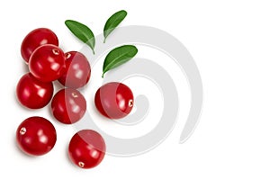 Cranberry with leaves isolated on white background with clipping path and full depth of field. Top view with copy space